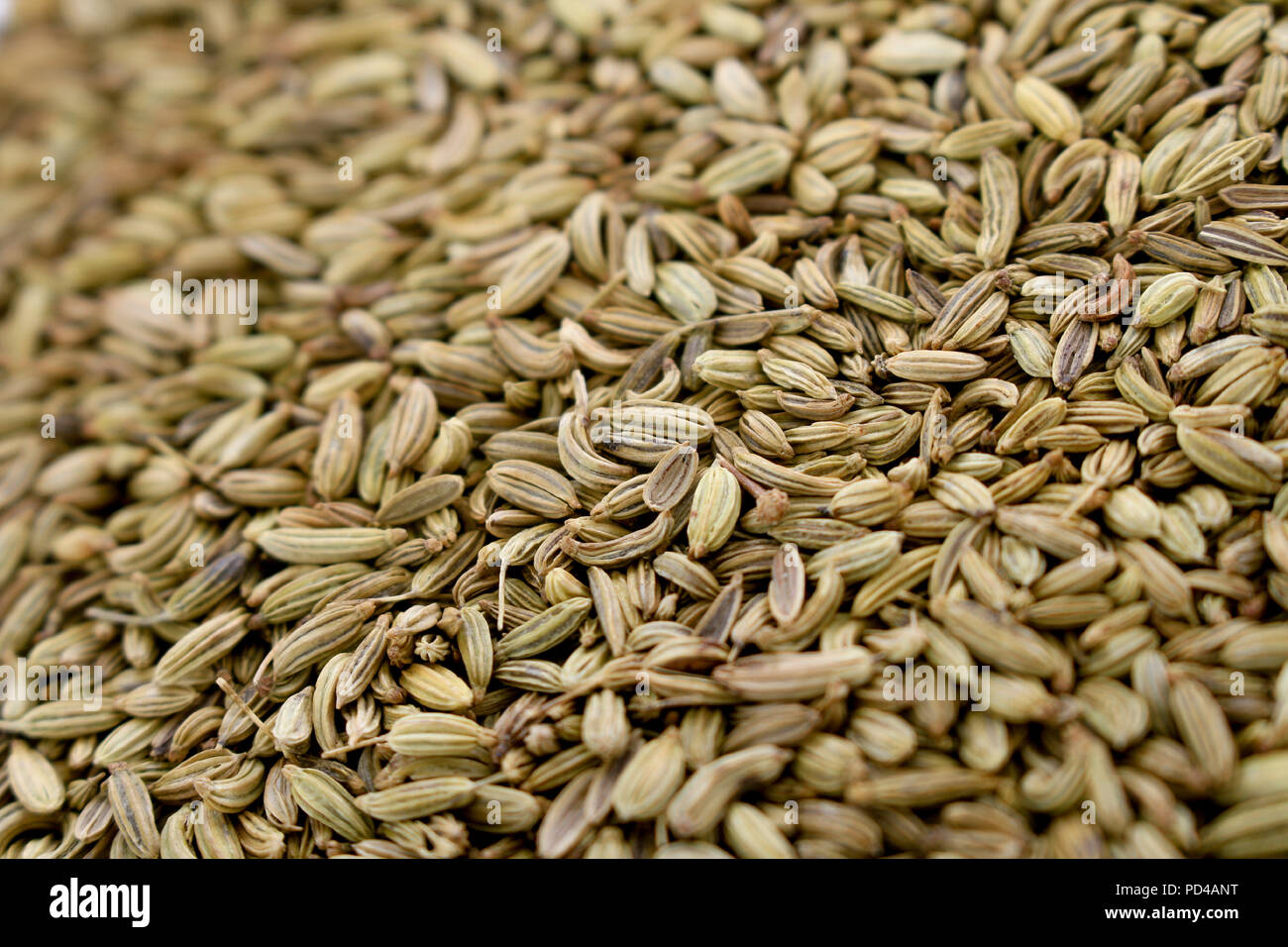 dried fennel seeds Stock Photo Alamy