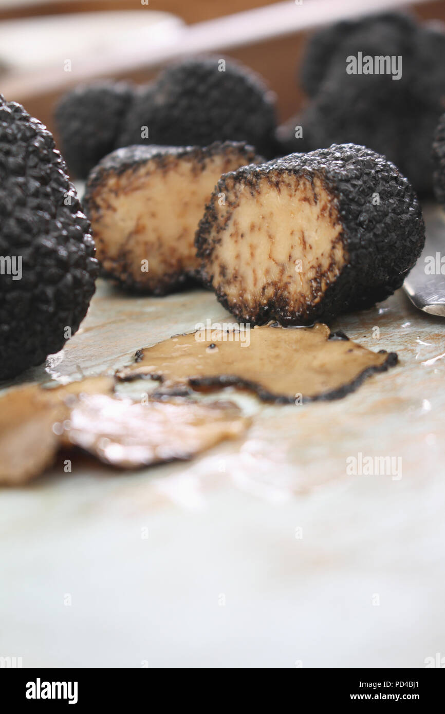 preparing-fresh-black-truffle-PD4BJ1.jpg