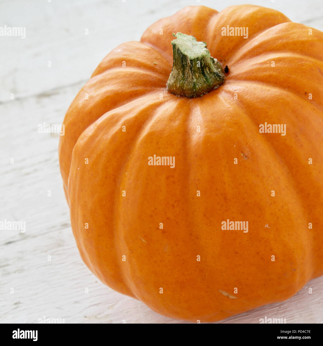 Pumpkin fruit hires stock photography and images Alamy