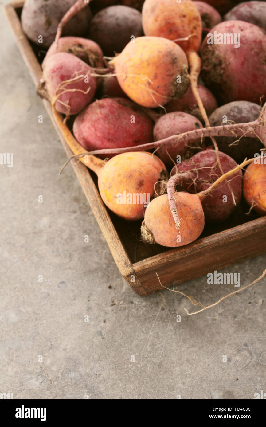 Mixed heritage hires stock photography and images Alamy