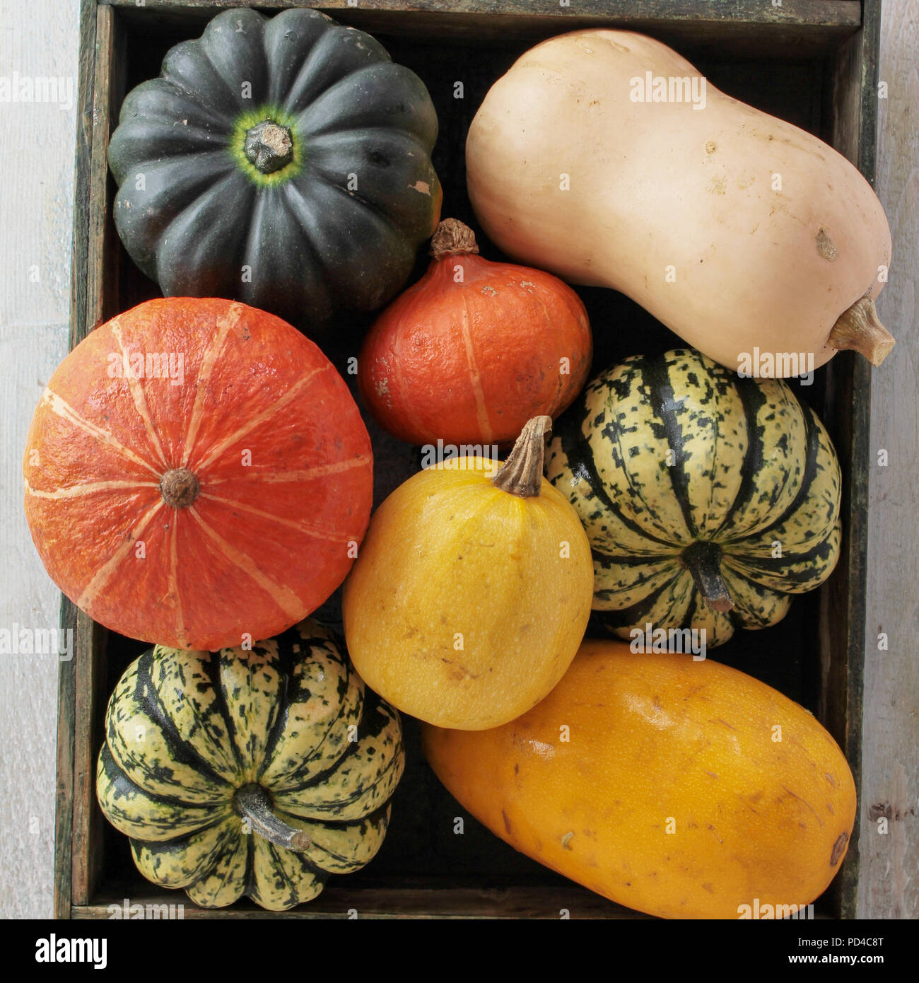 fresh pumpkin fruit Stock Photo Alamy