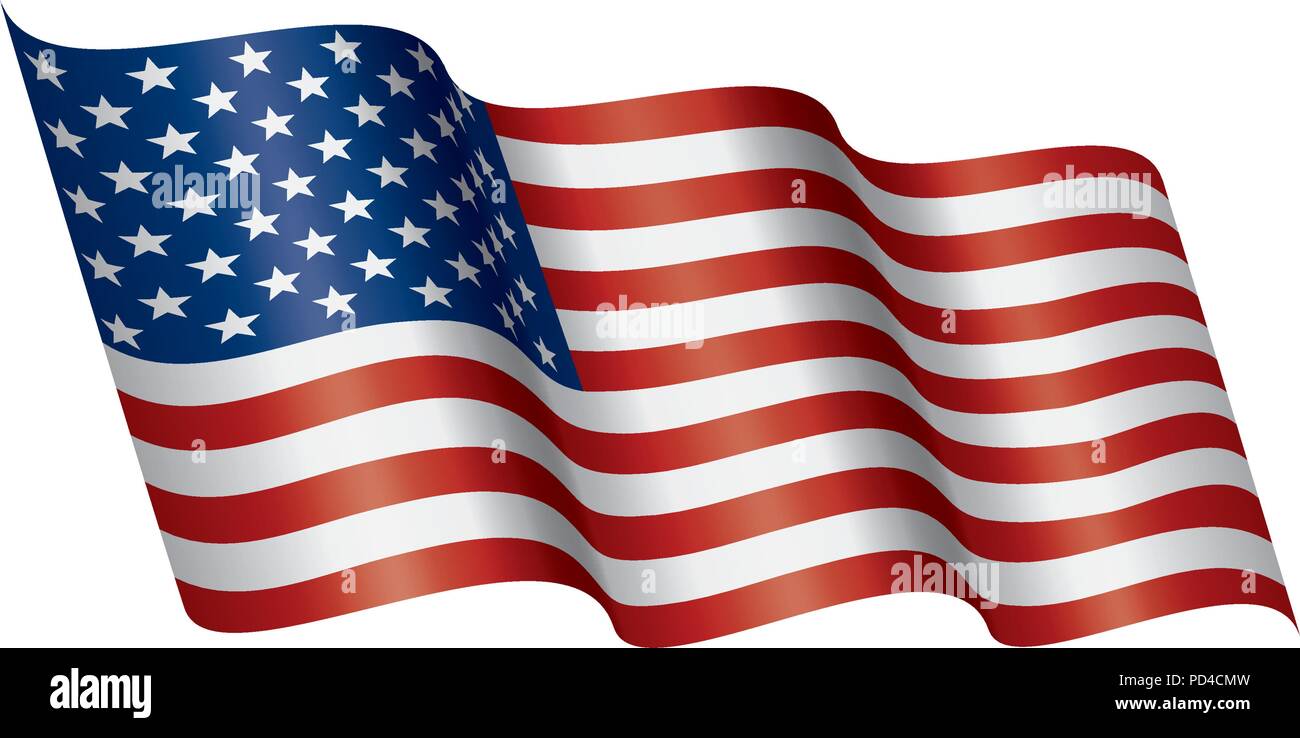 USA Flag isolated Stock Vector Image & Art - Alamy