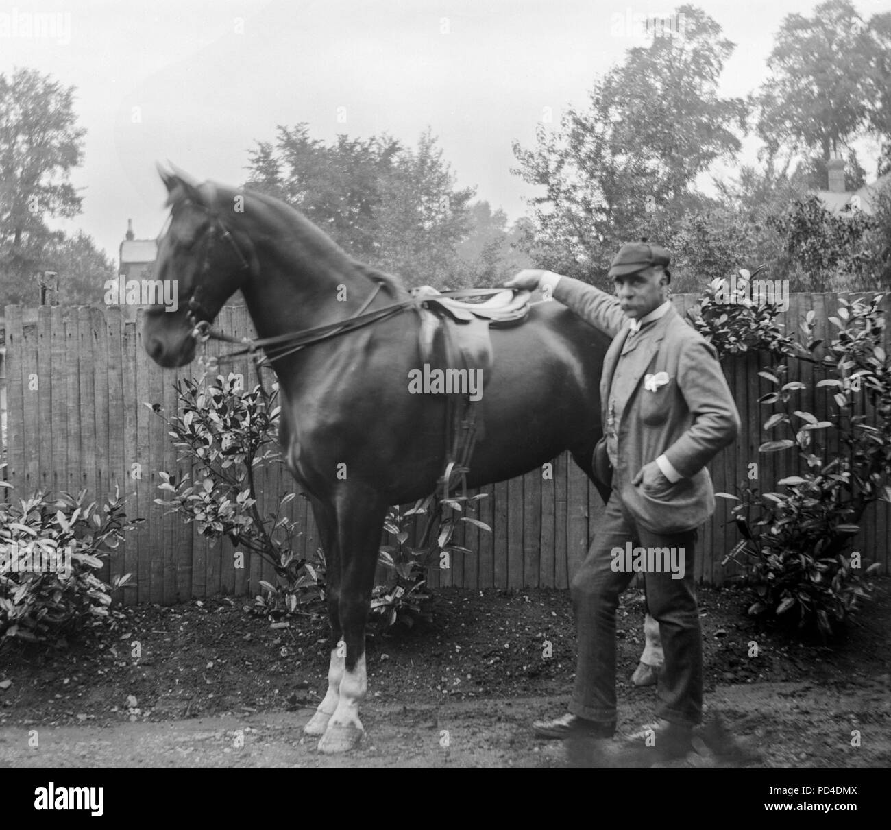 A late Victorian photograph of a man standing with a horse, somewhere in England. The horse has a saddle fitted and is ready for riding. Stock Photo