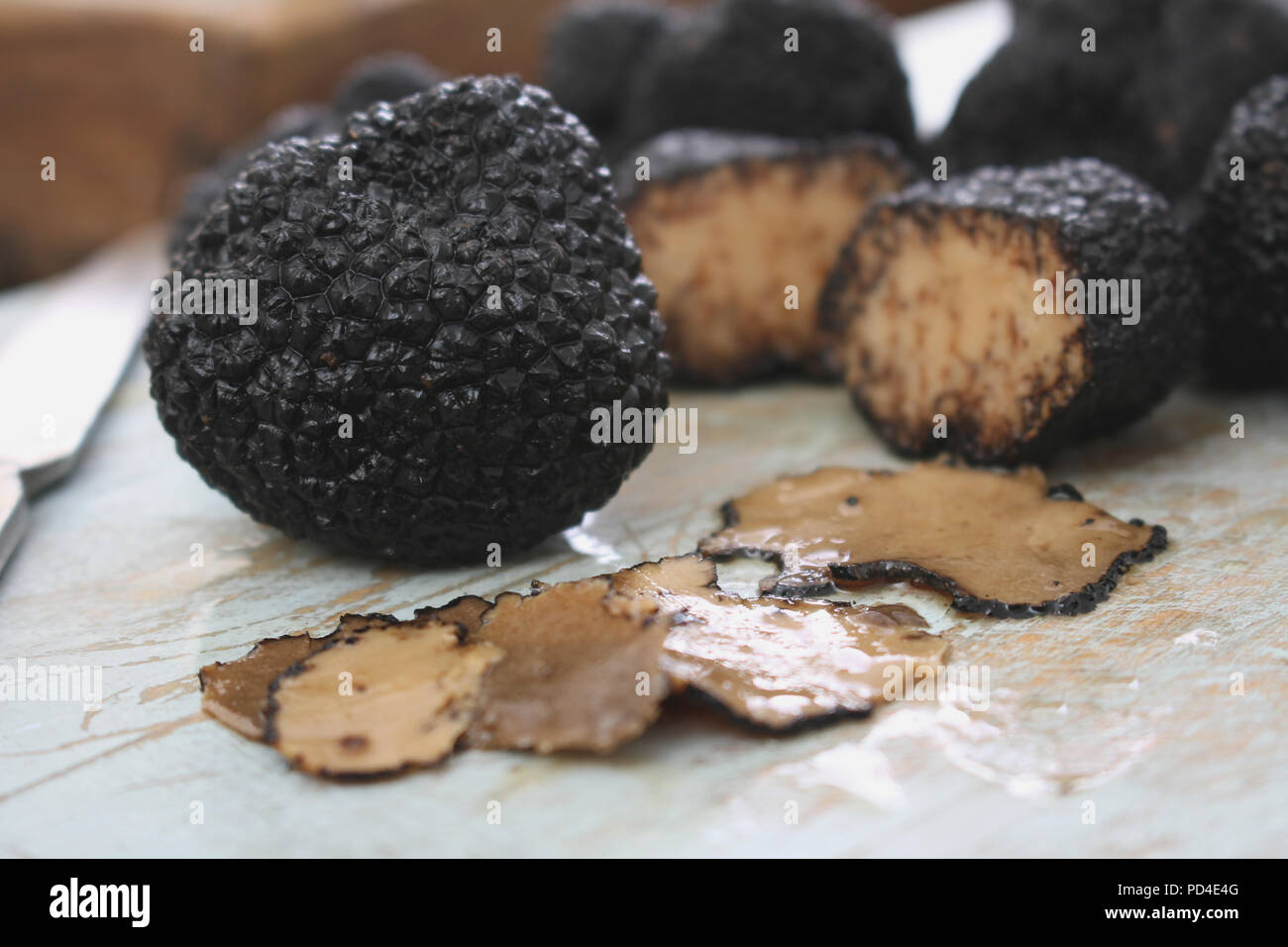 preparing fresh black truffle Stock Photo Alamy