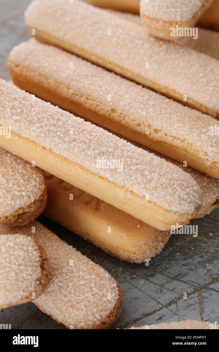 trifle sponge fingers Stock Photo Alamy