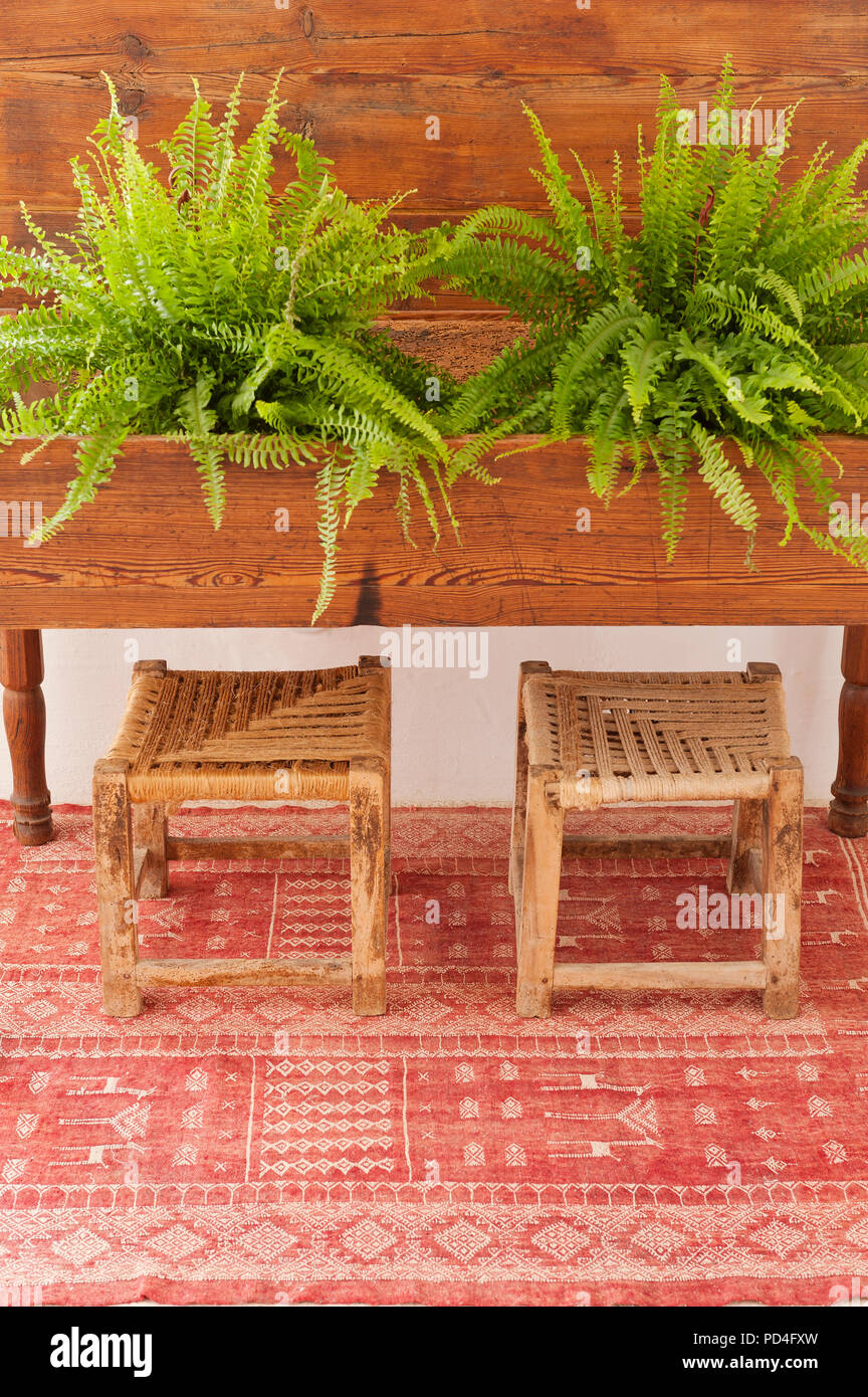 Symmetry symmetrical potted plant plants hires stock photography and