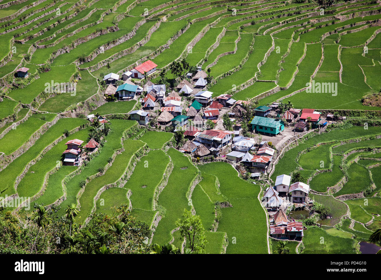 Village At 2000-year Old Batad Rice Terraces, UNESCO Heritage, Central ...