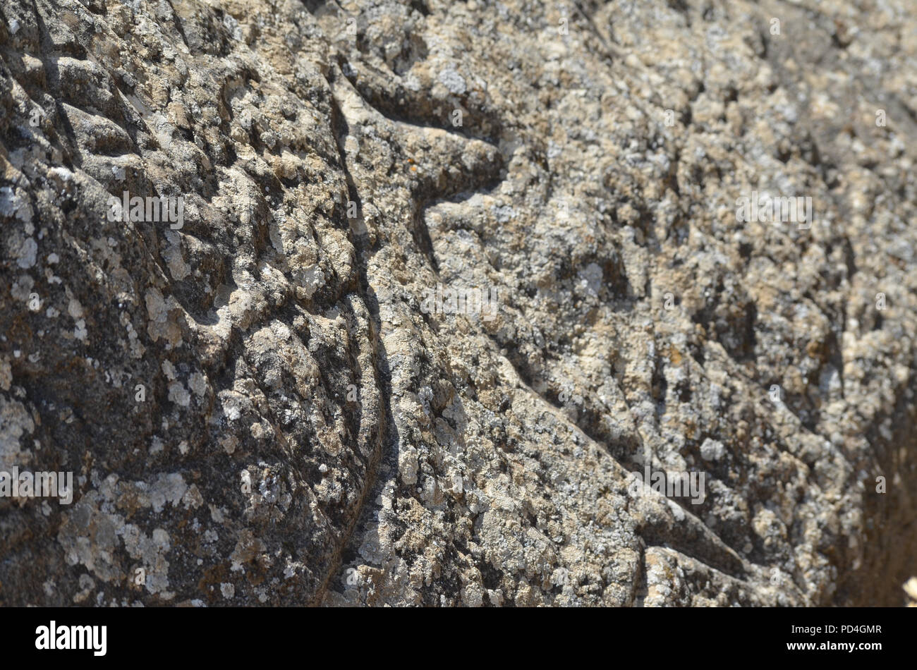 Ancient petroglyphs in Gobustan (Qobustan), Azerbaijan Stock Photo