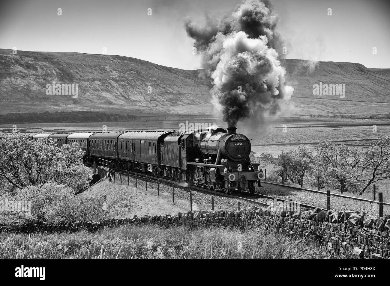 The Dalesman Classic steam trains being pulled by 48151 on the Settle to Carlisle railway at Ribblesdale Stock Photo