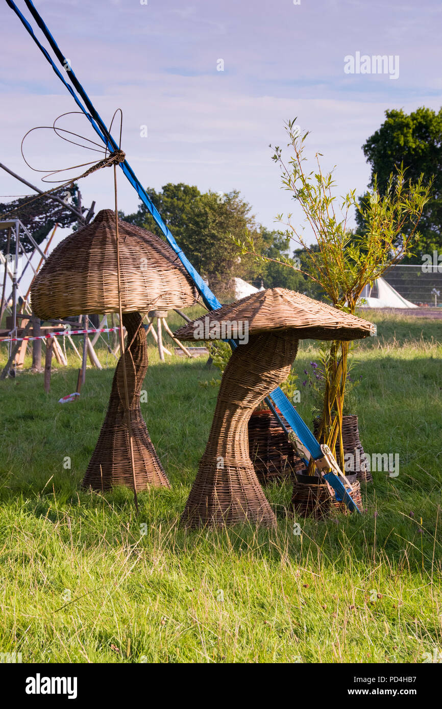 Marquee Guy Ropes Willow mushroom hi-res stock photography and images - Alamy
