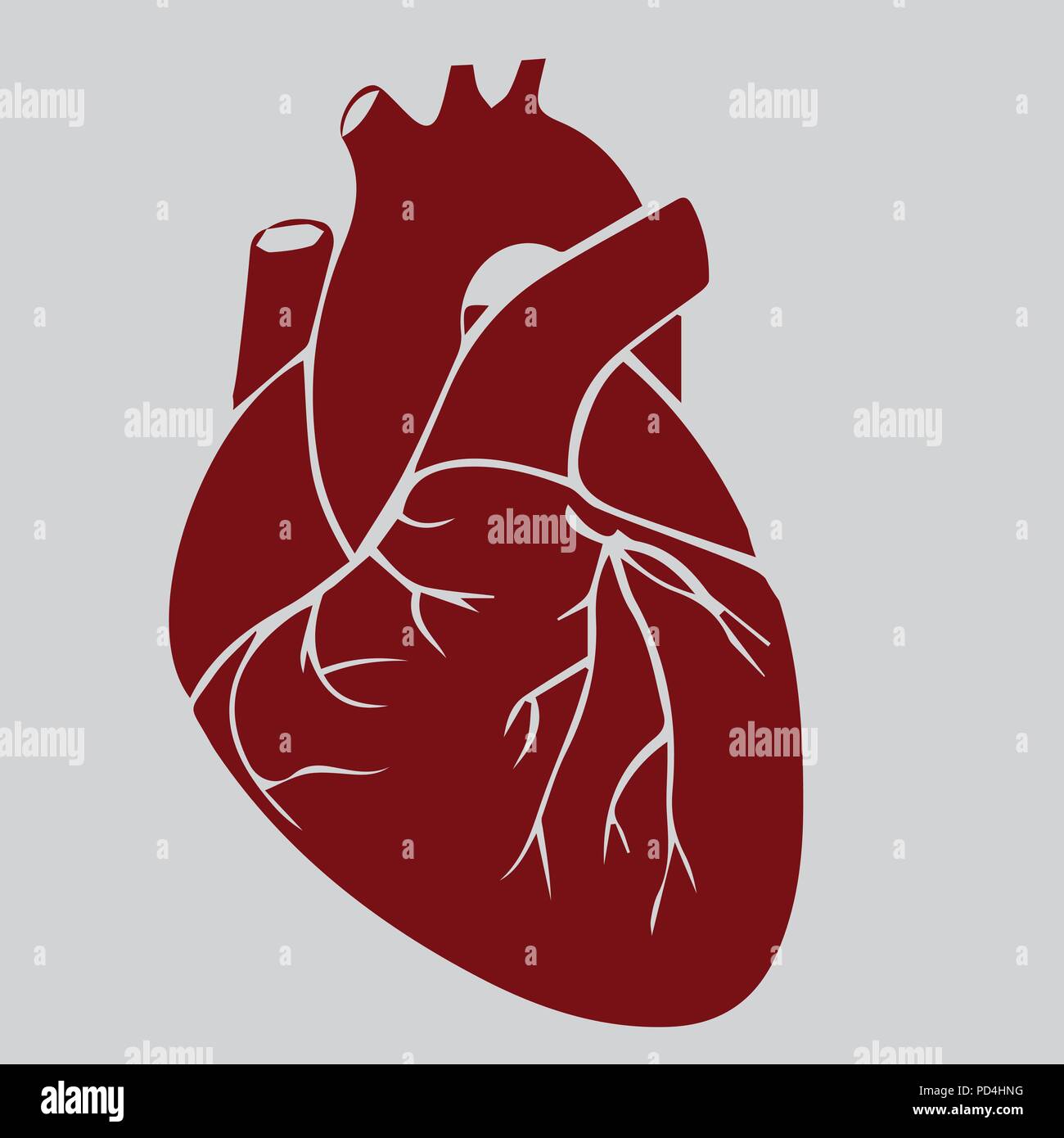 Heart, realistic, red vector hand-drawn vector Stock Vector