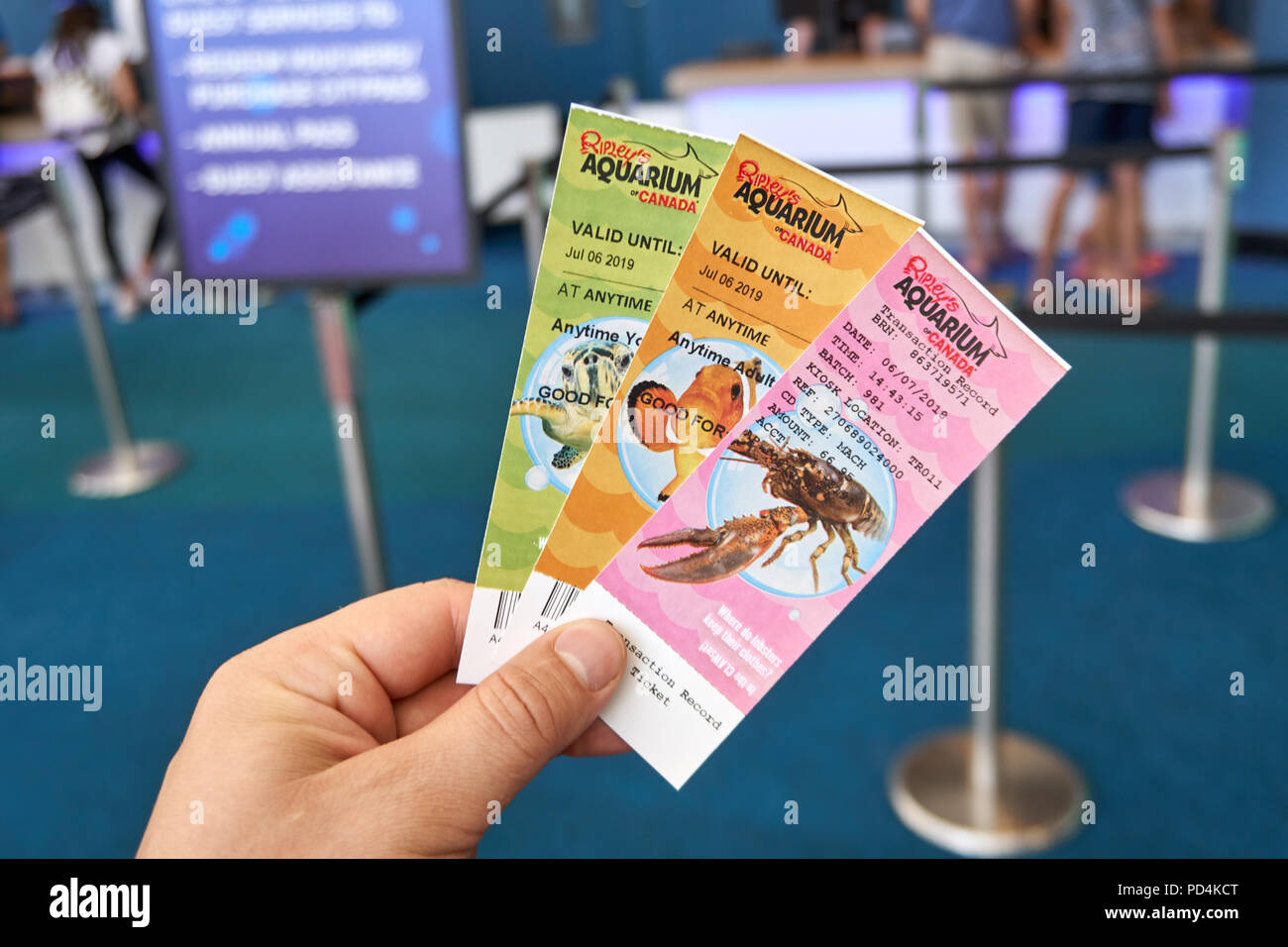 TORONTO, CANADA JULY 15, 2018 A hand holding tickets to Toronto