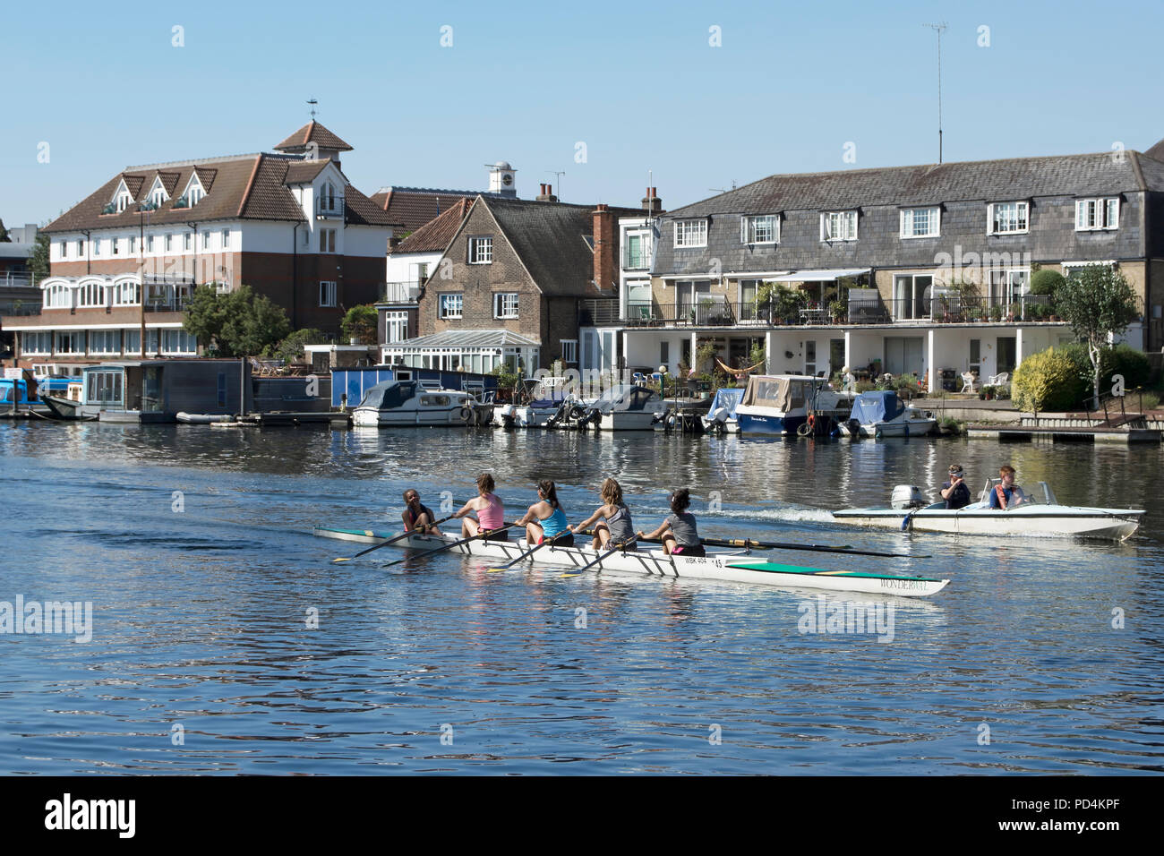 female rowing team with motorboat escort on the river thames near kingston, with hampton wick in background Stock Photo