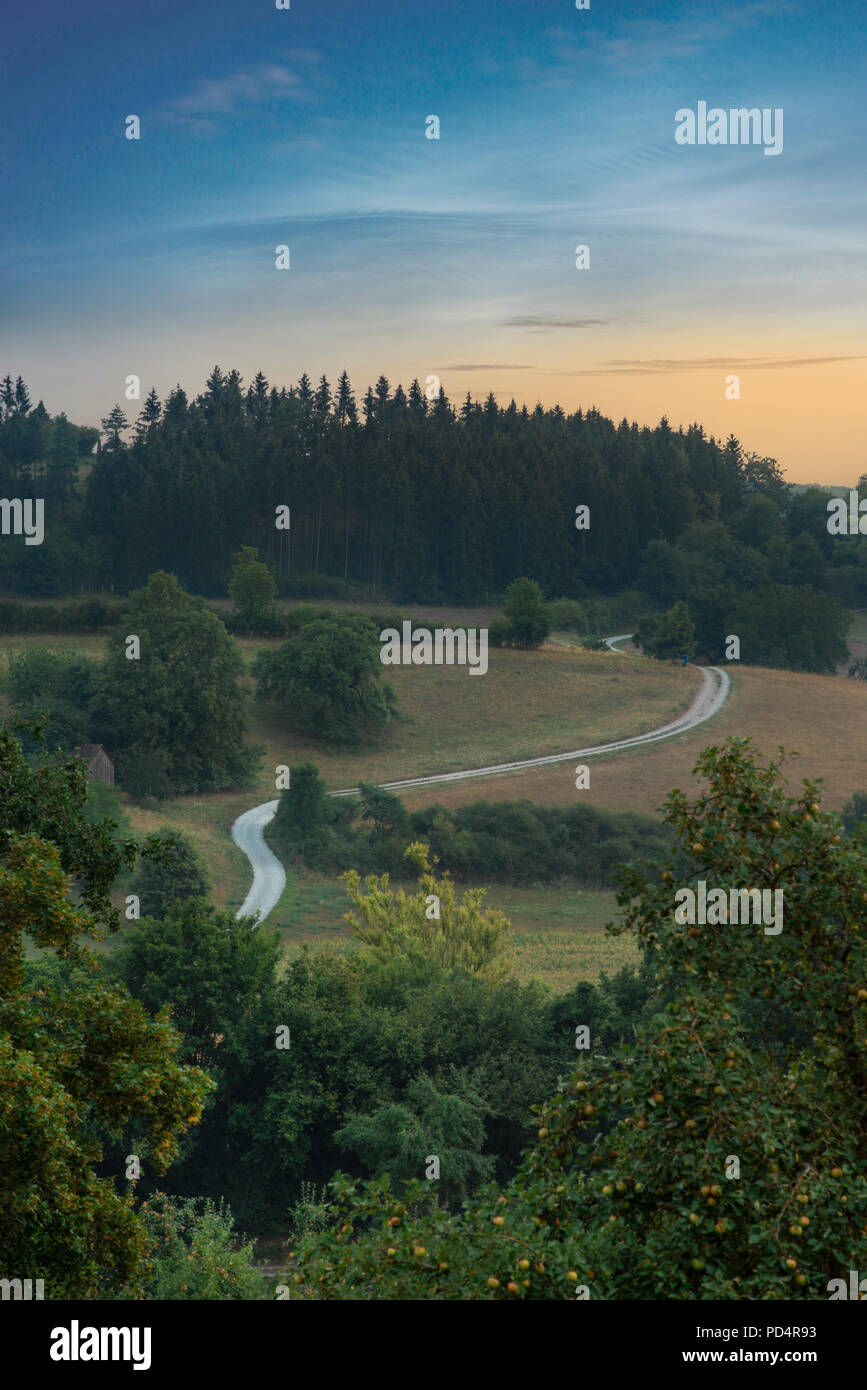 Summer landscape with pine forests, green trees, and meadows crossed by a country road, at sunrise, blue hour, in Michelbach, near Gaildorf, Germany. Stock Photo