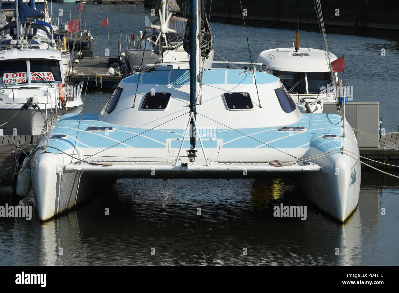 Head on view of a catamaran berthed in Swansea marina Stock Photo