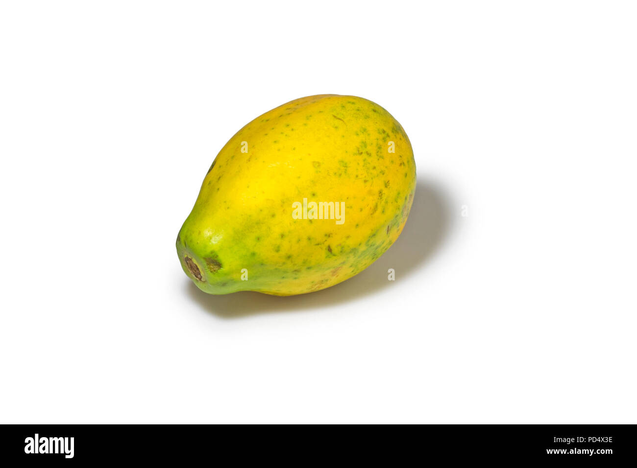 Topical fruit papaya in white background Stock Photo Alamy