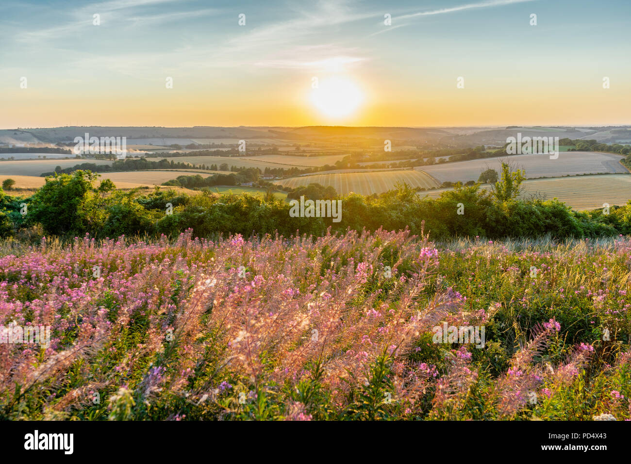 View from Butser Hill Nature Reserve over the South Downs in Hampshire during sunset in summer 2018, England, UK Stock Photo