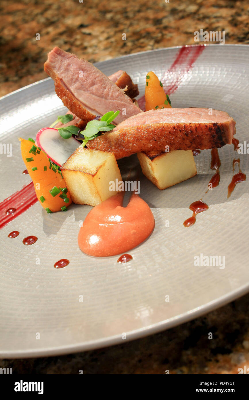 plated duck main meal Stock Photo