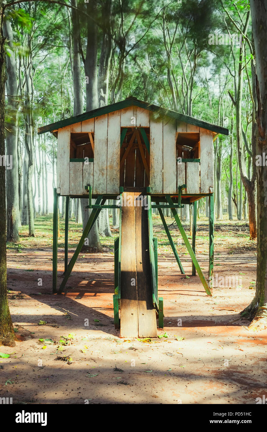 Wooden kids house surrounded by eucalyptus trees. Farm's playground for kids, nobody on photo. House with a slide for kids have fun. Stock Photo