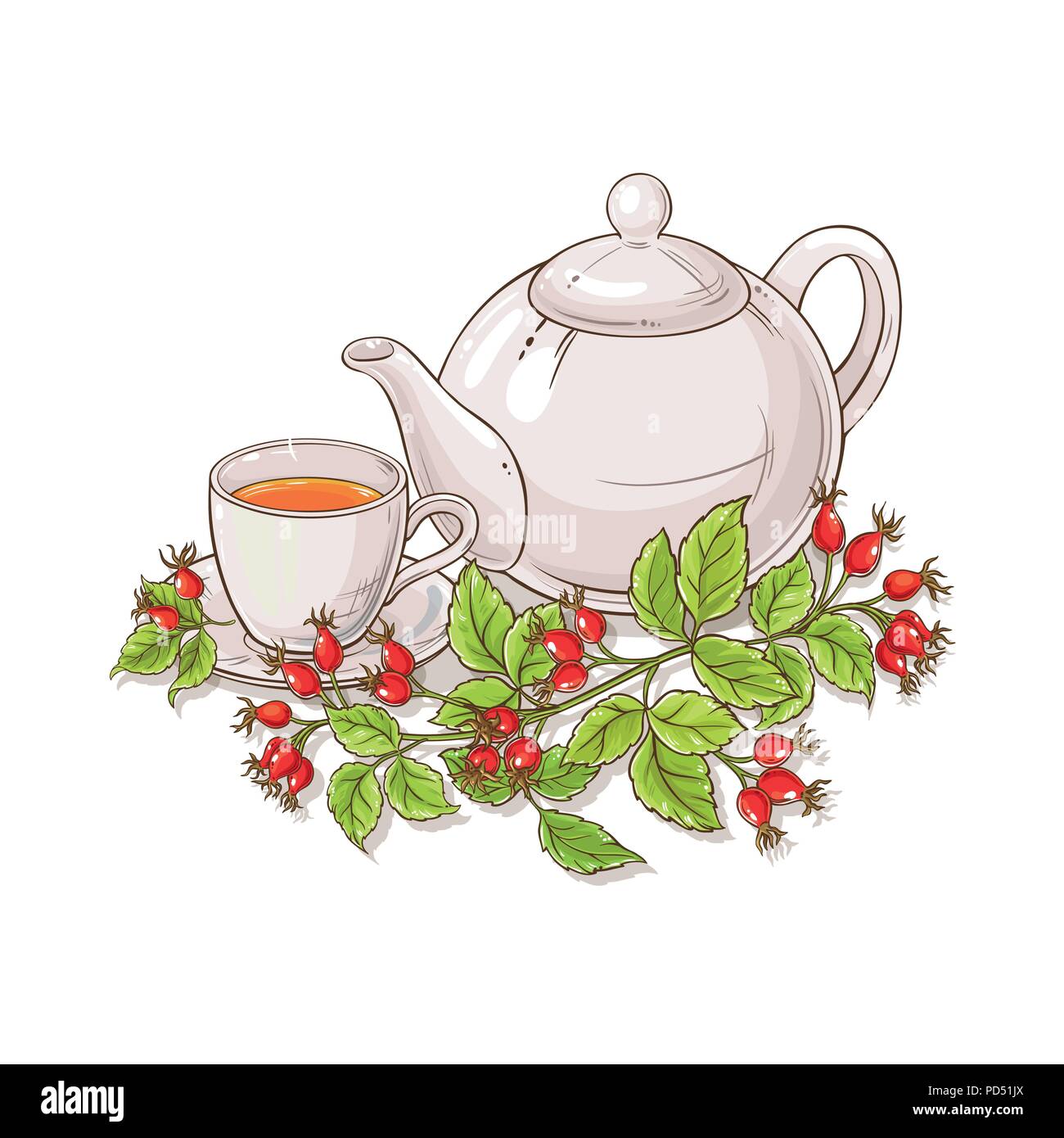 wild rose tea illustration on white background Stock Vector Image & Art ...