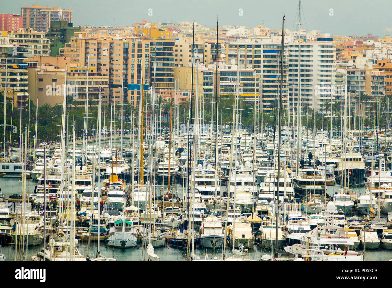 Marina and harbour in Palma de mallorca is a resort city and capital of