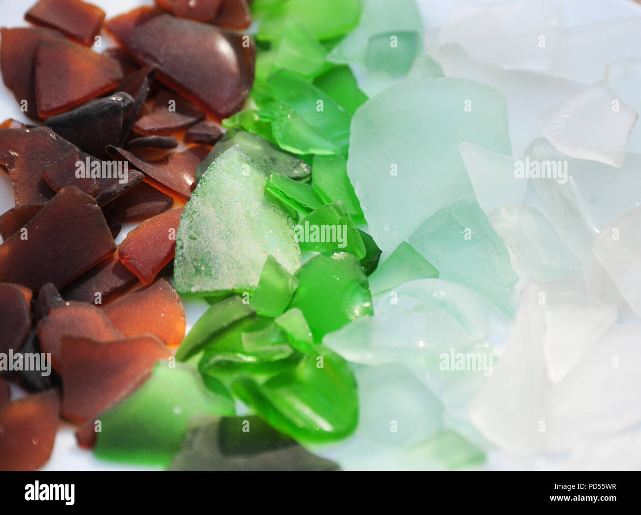 Real Florida Beach Glass Stock Photo Alamy