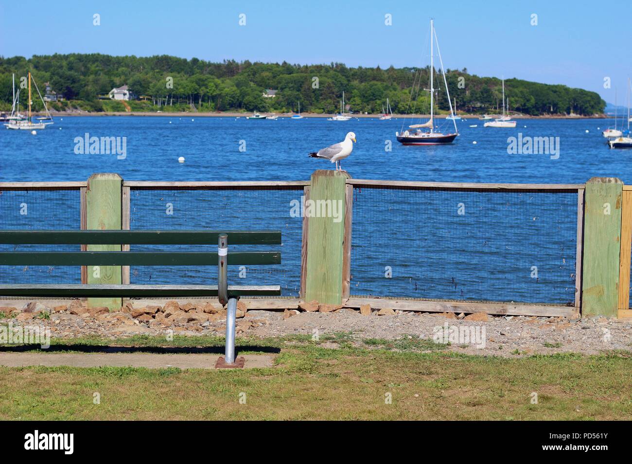 Belfast harbor walking bridge hires stock photography and images Alamy