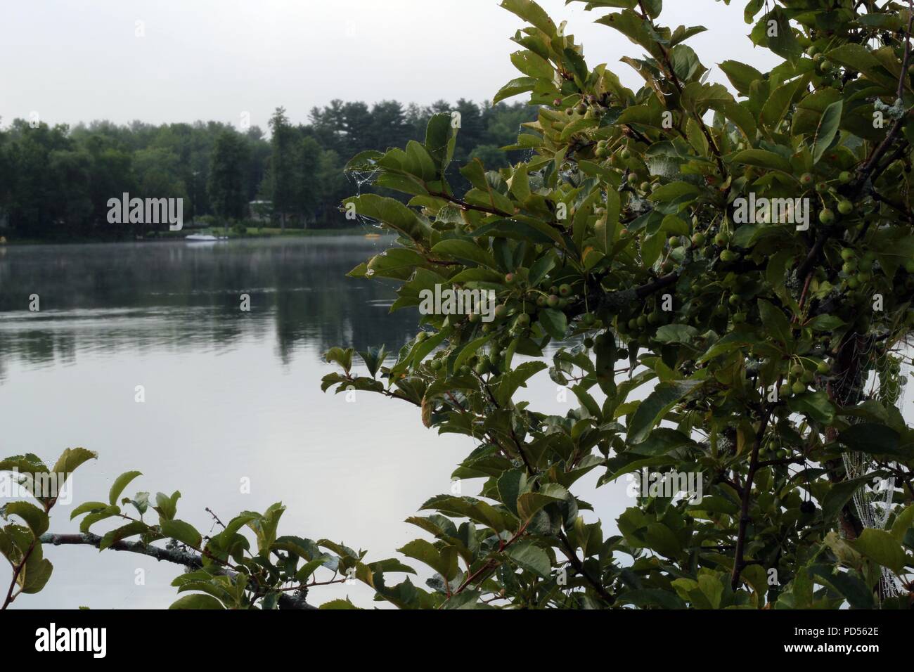 Humid states hires stock photography and images Alamy