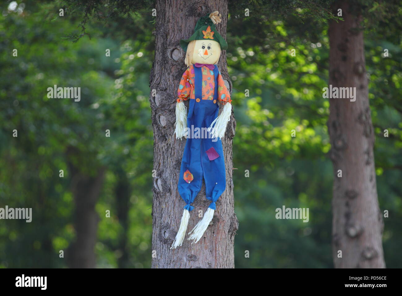 A Scarecrow Hangs From A Tree In A Cemetery In Leeds Stock Photo Alamy