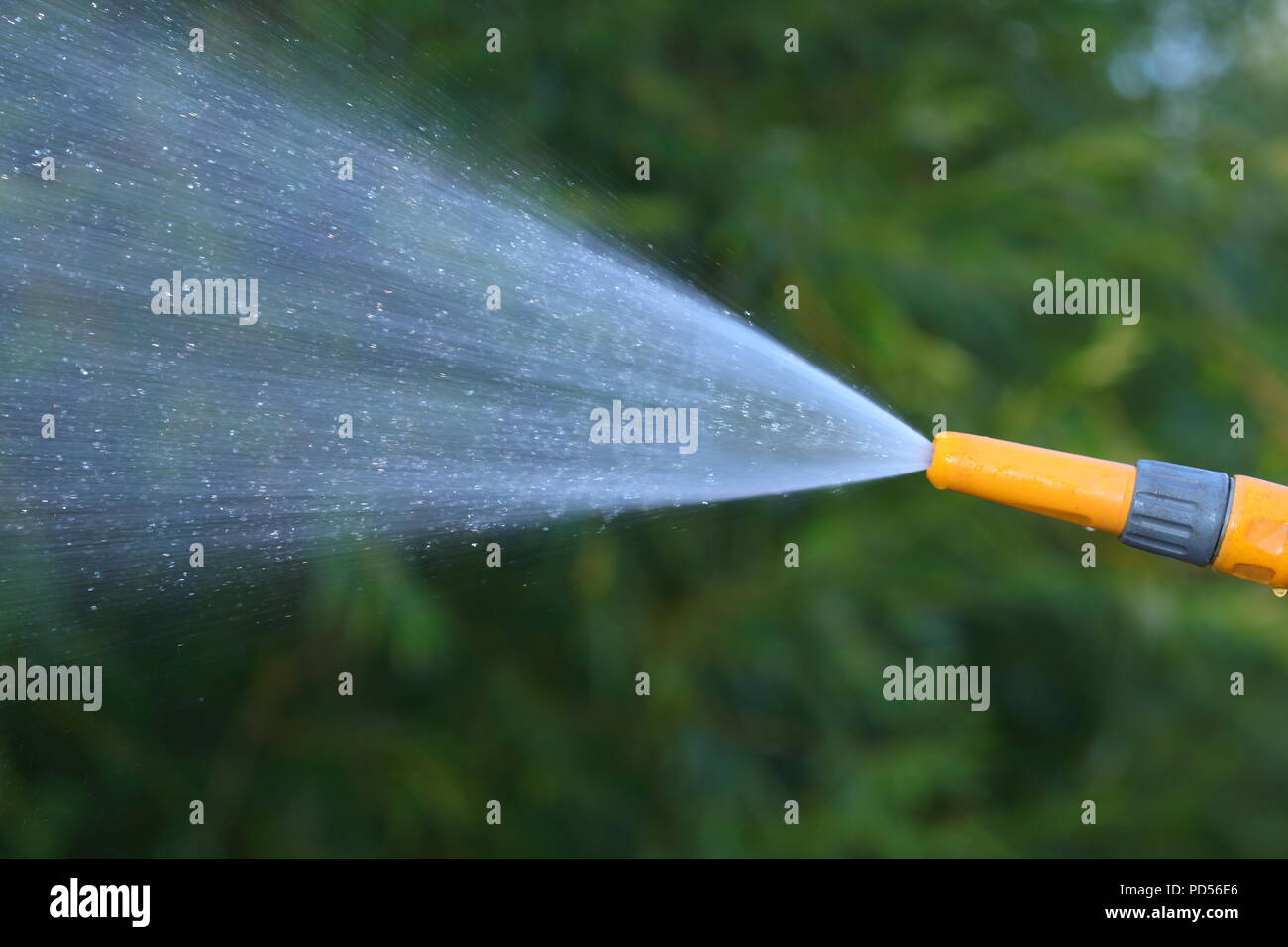 A water shower from a garden hosepipe Stock Photo