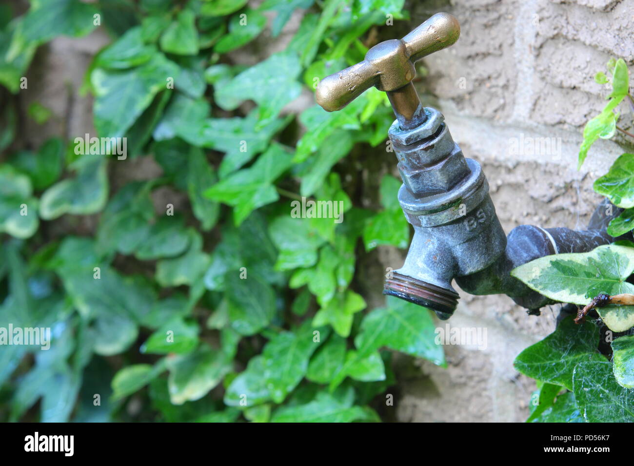 A tap which looks dry due to the heatwave and heading towards a hosepipe ban Stock Photo