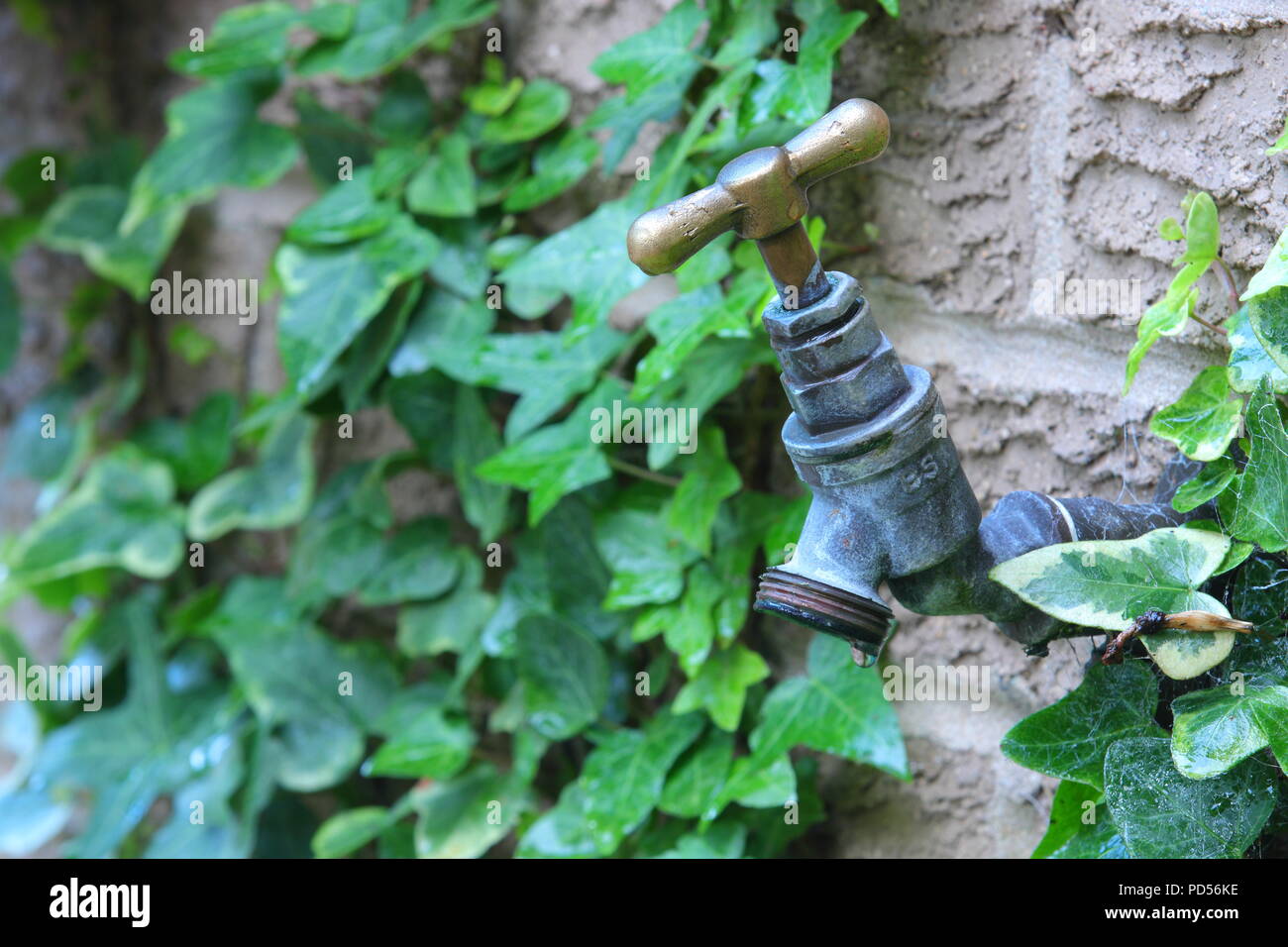 A tap which looks dry due to the heatwave and heading towards a hosepipe ban Stock Photo