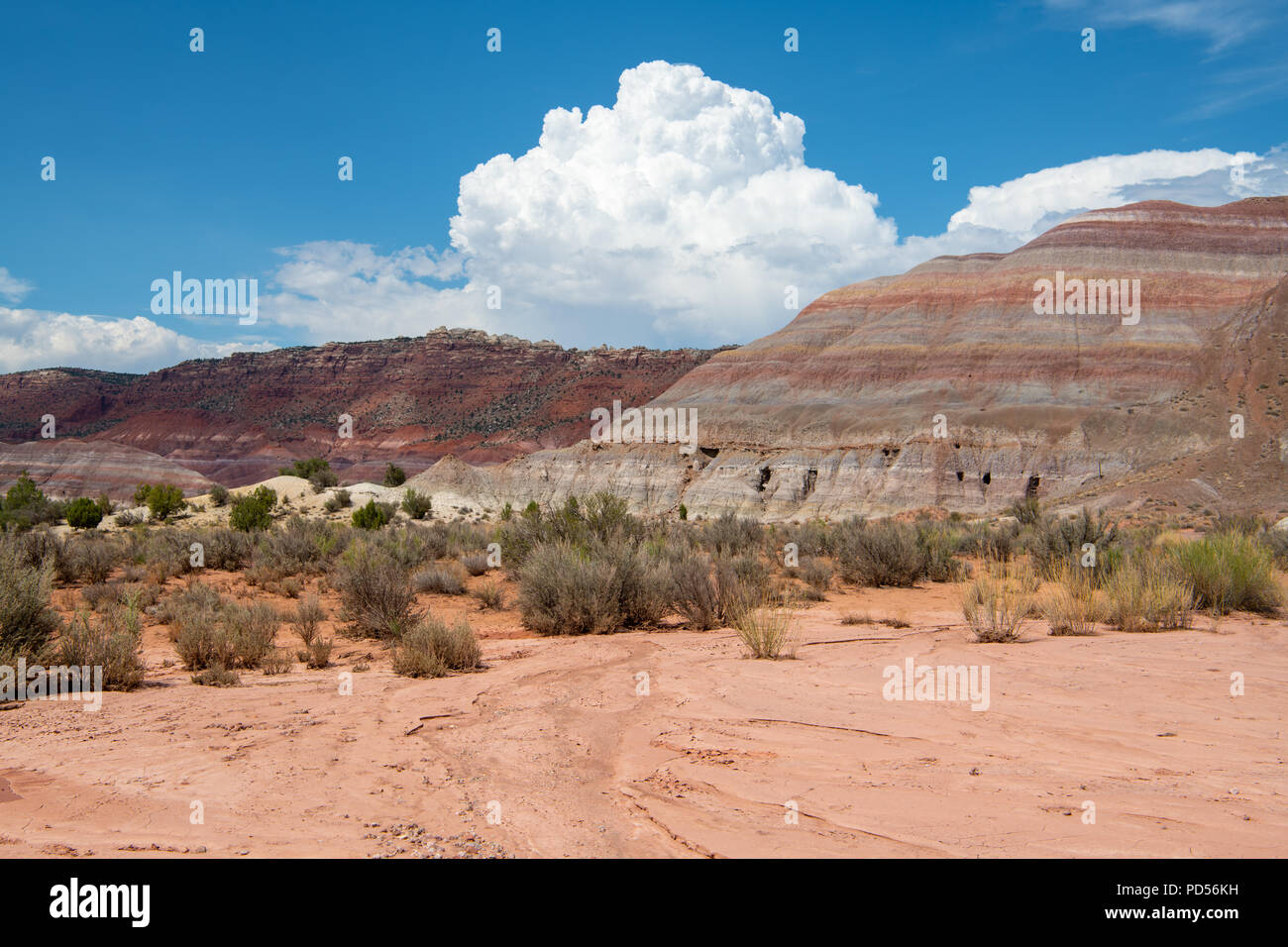 Colorful hills and mountains under cumulus clouds in Grand Staircase-Escalante National Monument in Paria, Utah Stock Photo