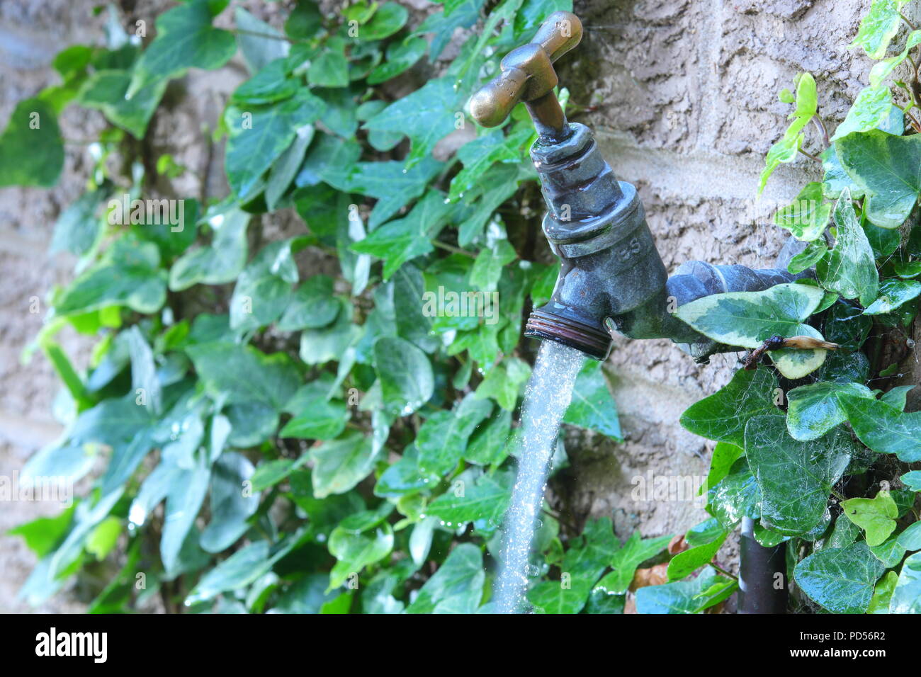 A running an outdoor garden tap Stock Photo