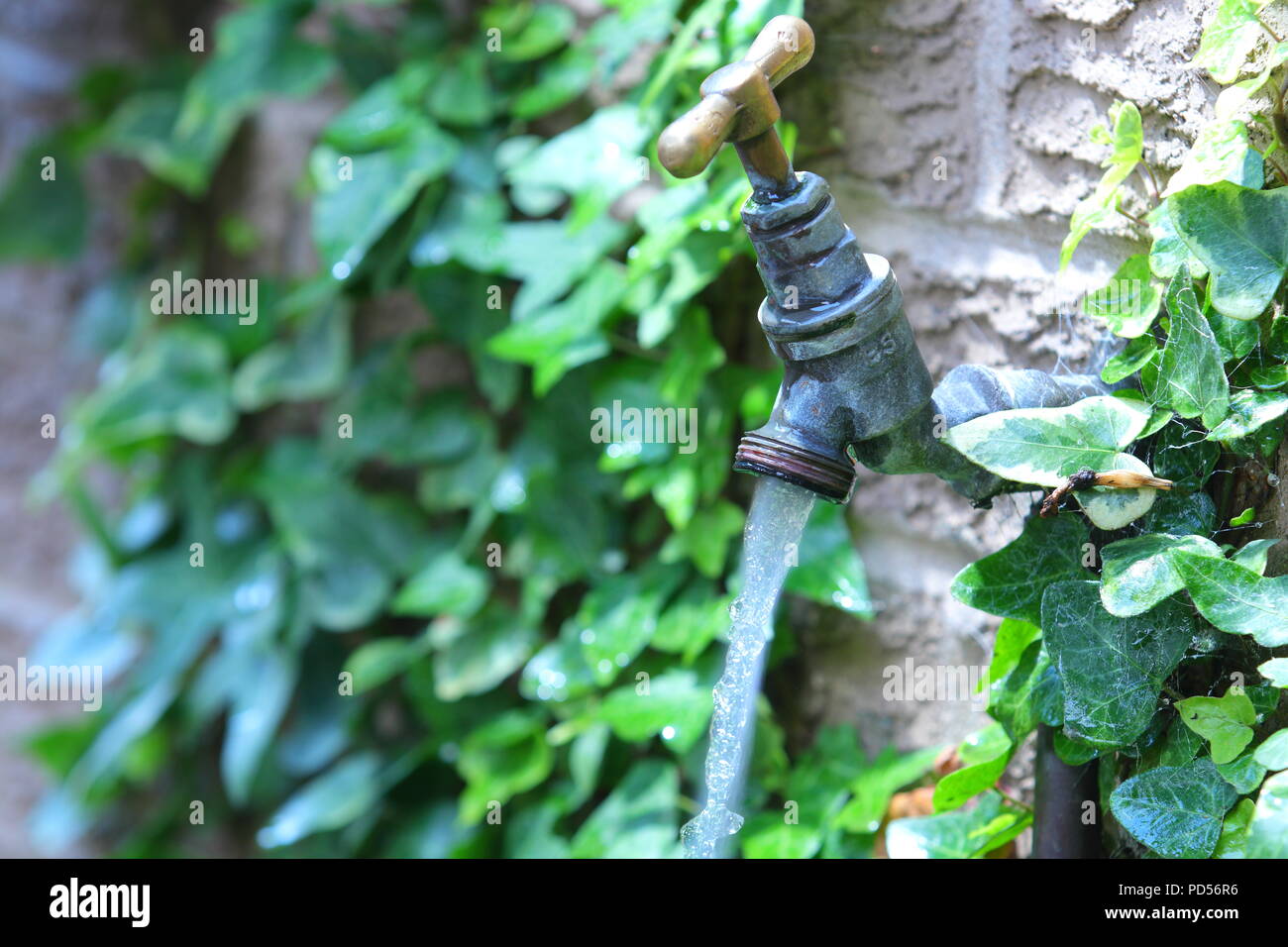 A running an outdoor garden tap Stock Photo