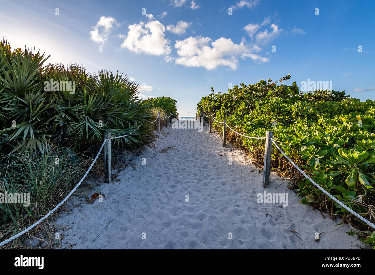 South Pointe Park and South Beach Stock Photo