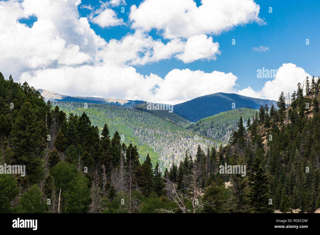 Rolling, overlapping  green mountains, V-shaped view, with white, puffy clouds and blue sky.   Good for background. Stock Photo