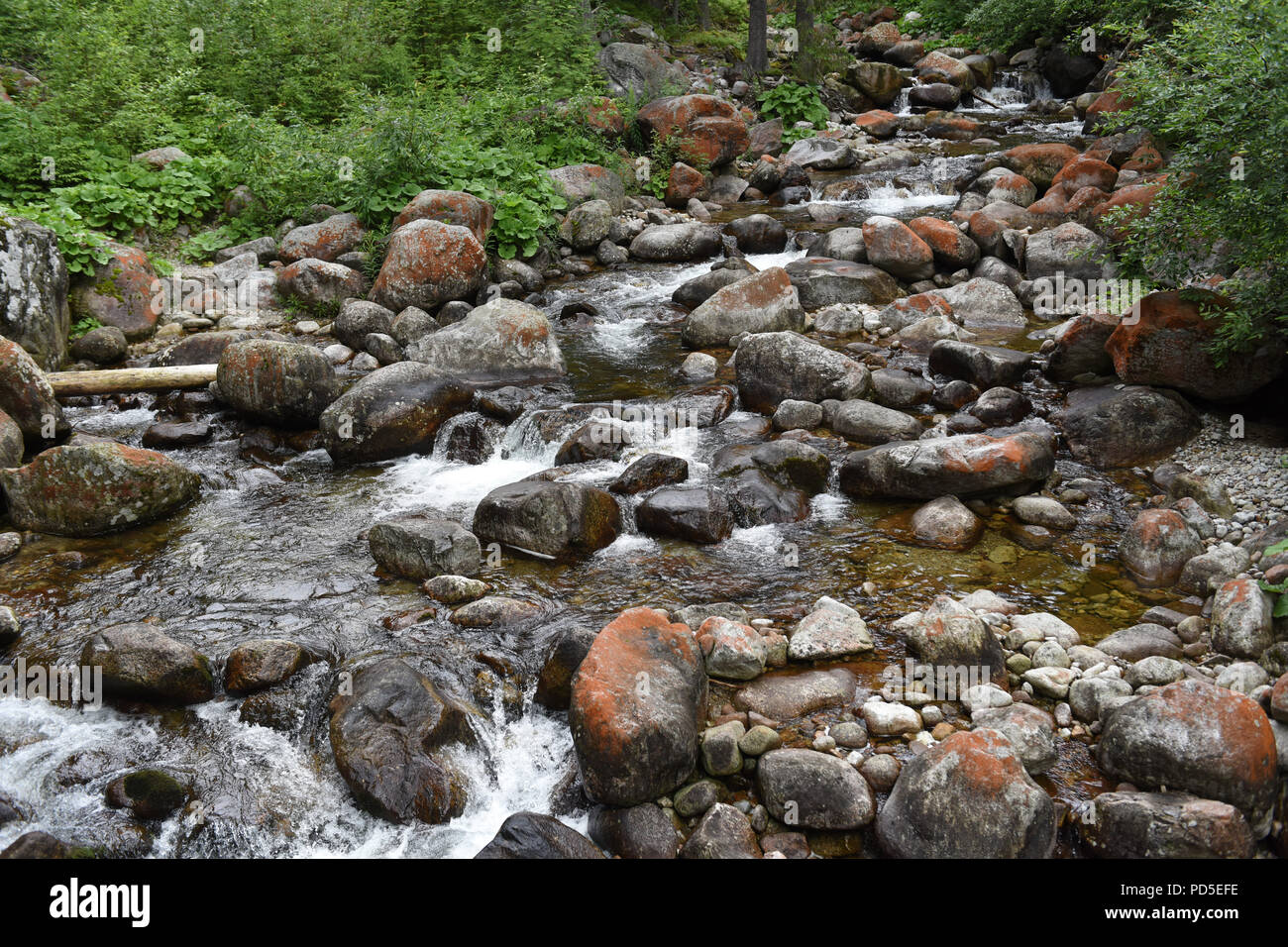 Mountain stream on Tatra National Park near Zakopane Poland Stock Photo