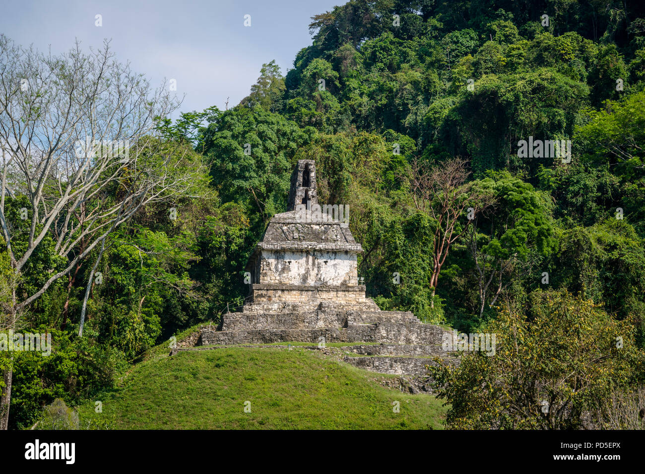 Palenque, ruins of Maya city in southern Mexico, Chiapas, Mexico Stock Photo