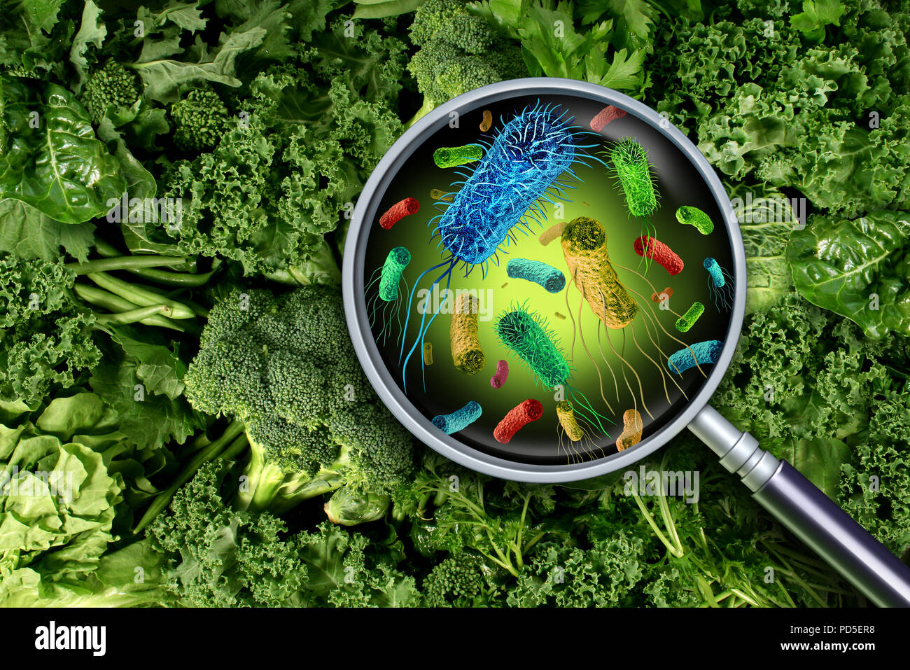 Harmful Bacteria In Food Biology Diagrams