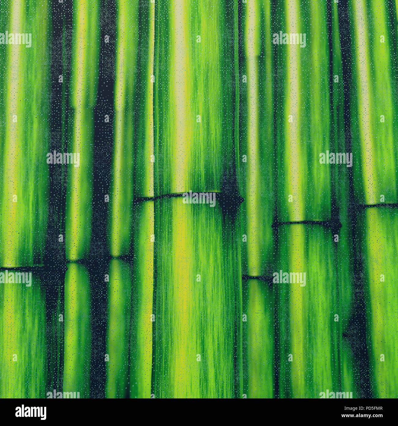 Droplets and bamboo background, 3d illustration Stock Photo