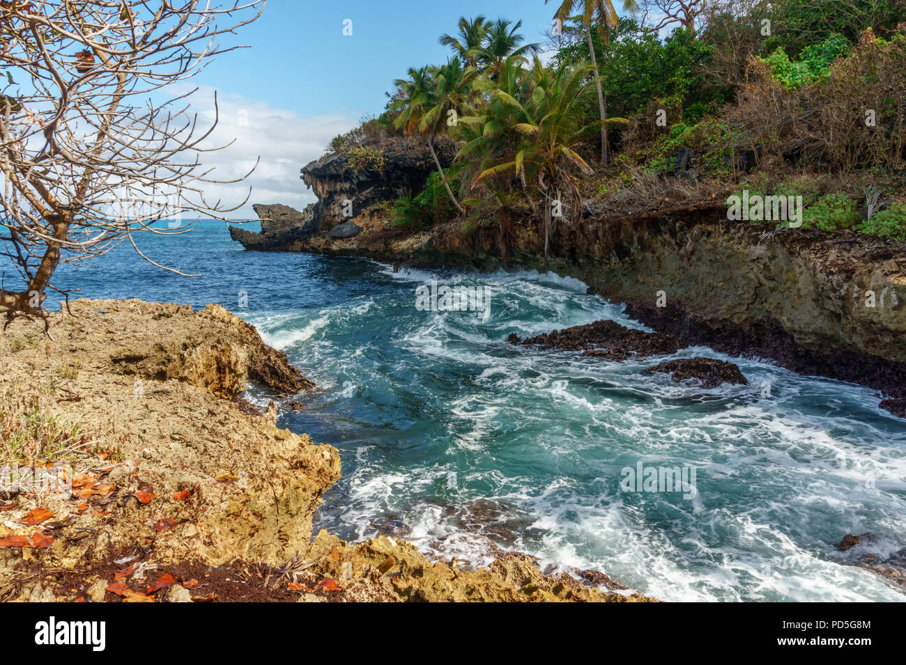 stormy sea in a rocky Cove with palm trees. the Samana Peninsula, Dominican Republic Stock Photo