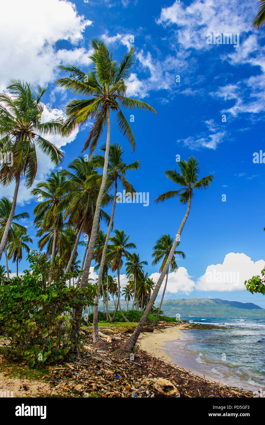Tropical beach landscape. Samana, Dominican Republic Stock Photo
