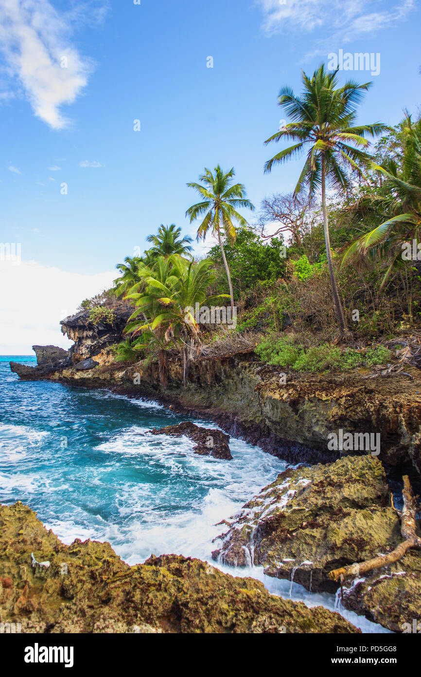 Wild tropical rocky shore, bay, lagoon. Sea stormy Splash, Green palm trees on the rocks. Las Galeras, Samana, Dominican Republic Stock Photo