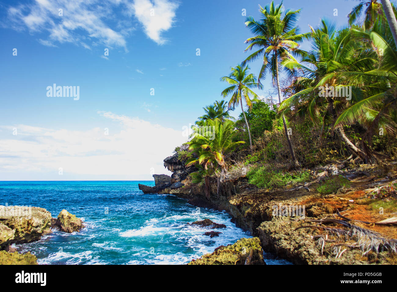 Wild tropical rocky shore, bay, lagoon. Sea stormy Splash, Green palm trees on the rocks. Las Galeras, Samana, Dominican Republic Stock Photo