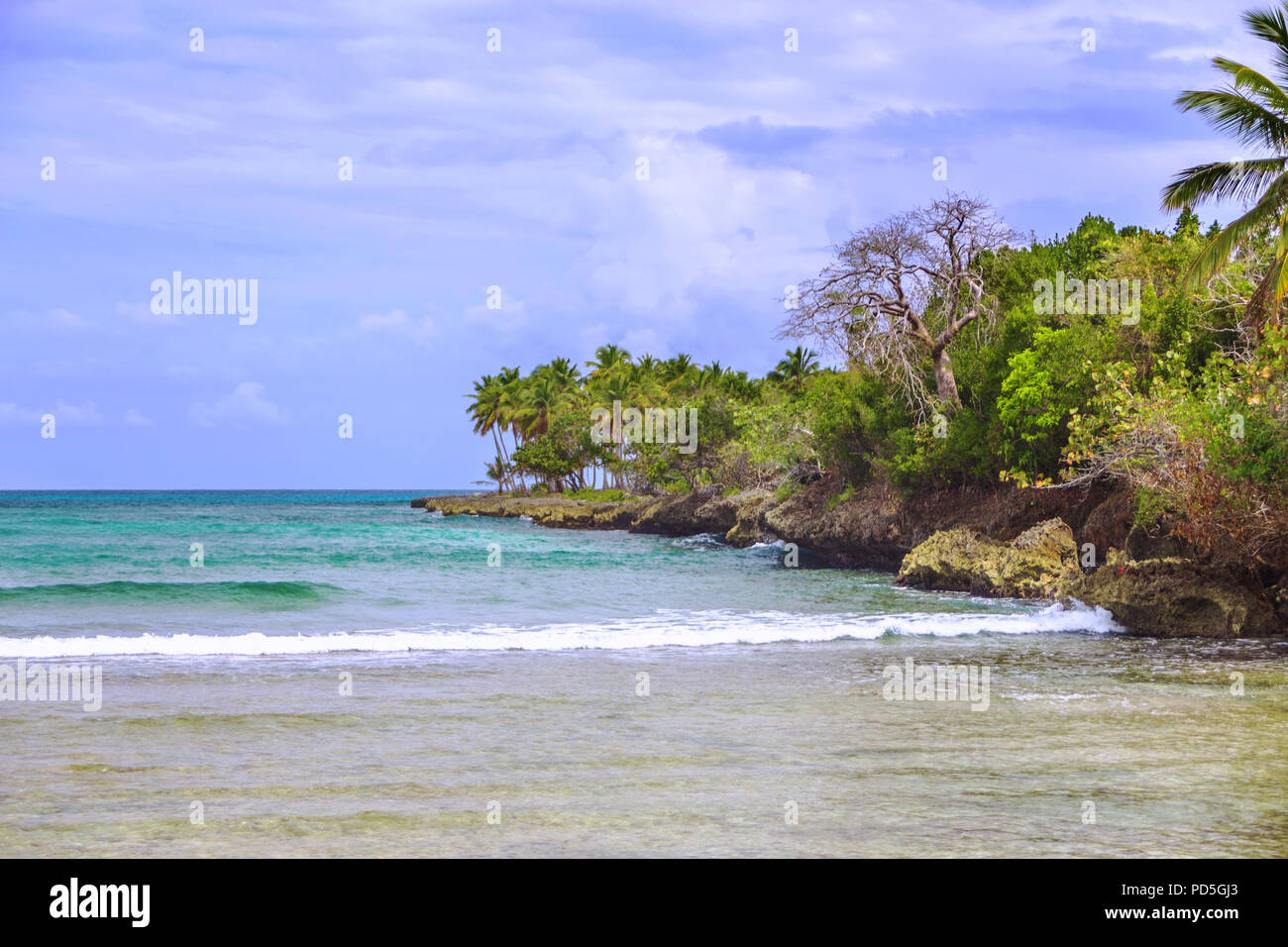 Wild tropical shore. South landscape: ocean, palm trees, sky with white clouds. Samana, Dominican Republic. Vacation concept Stock Photo