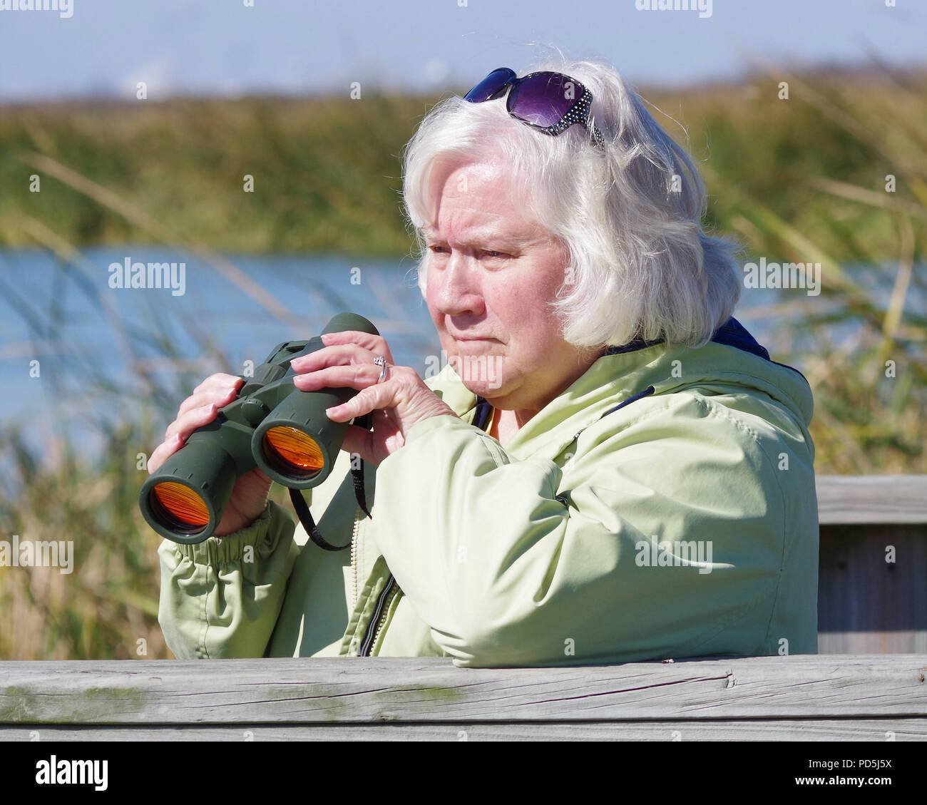 A silver-haired woman with binoculars views wildlife at the Leonabelle Turnbull Birding Center in Port Aransas, Texas USA. Stock Photo