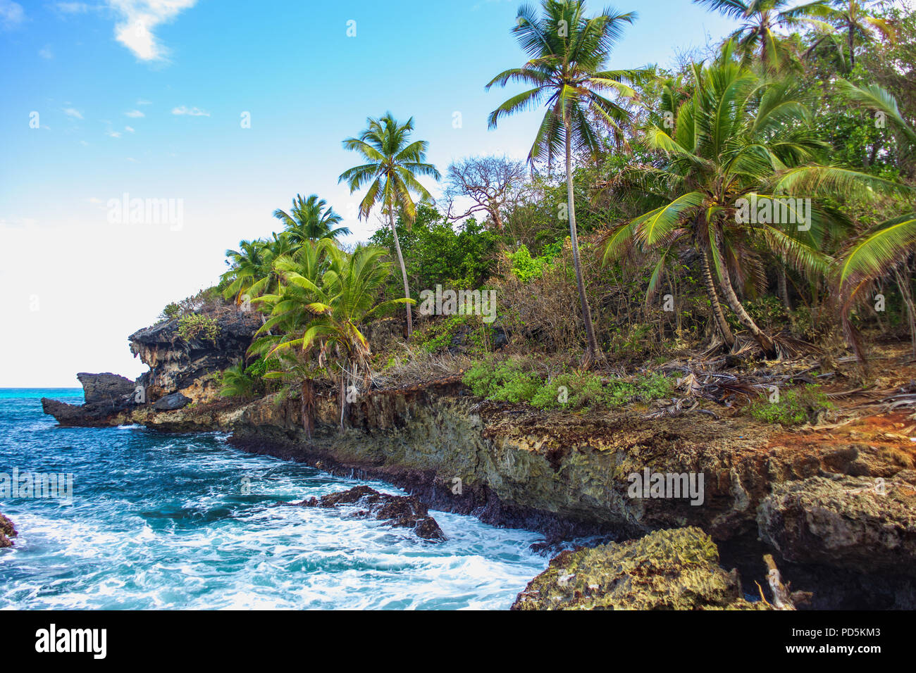 Wild tropical rocky shore, bay, lagoon. Sea Splash, Green palm trees on the rocks. Las Galeras, Samana, Dominican Republic Stock Photo