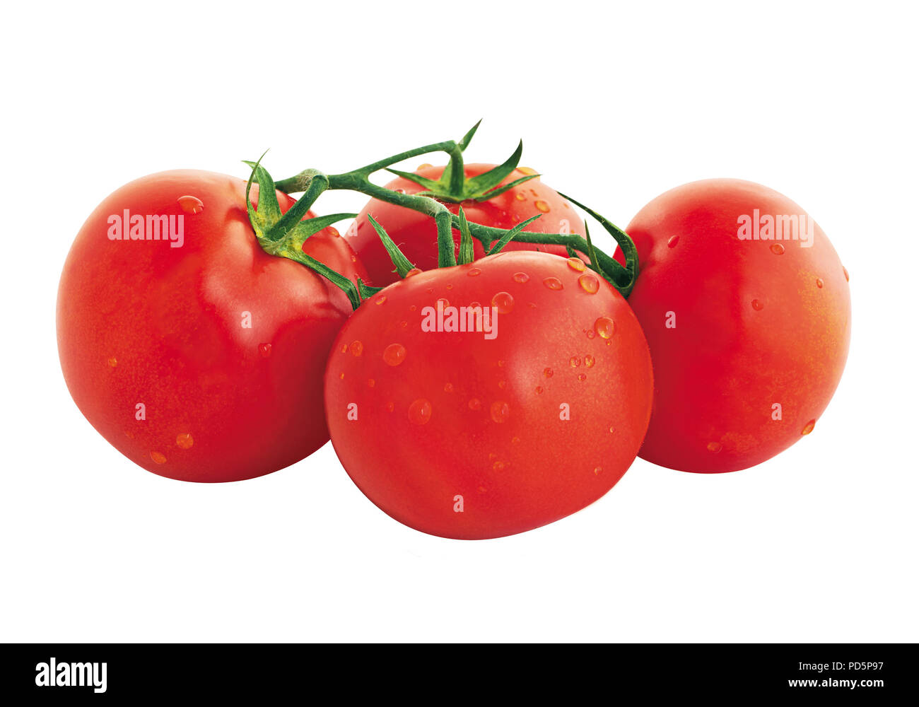 branch of ripe tomatoes on white background Stock Photo - Alamy