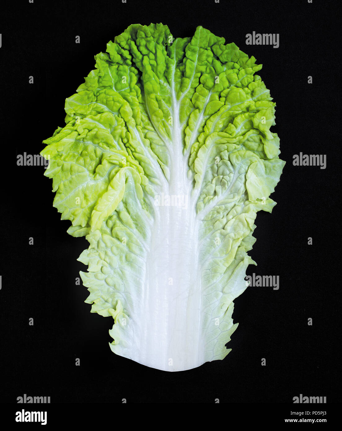 green salad leaf isolated on white background Stock Photo Alamy